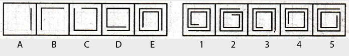 Non-Verbal-Reasoning-Markschamps.com