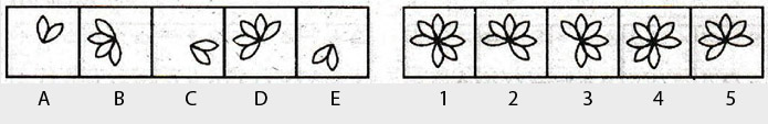 Non-Verbal-Reasoning-Markschamps.com