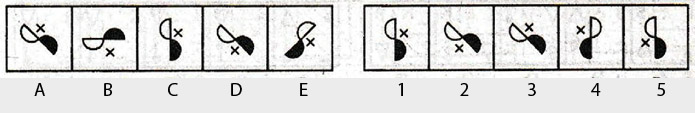 Non-Verbal-Reasoning-Markschamps.com