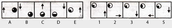 Non-Verbal-Reasoning-Markschamps.com