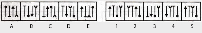 Non-Verbal-Reasoning-Markschamps.com