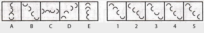 Non-Verbal-Reasoning-Markschamps.com