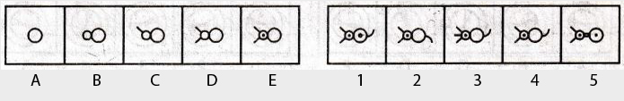 Non-Verbal-Reasoning-Markschamps.com