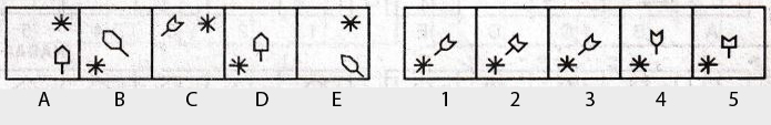 Non-Verbal-Reasoning-Markschamps.com