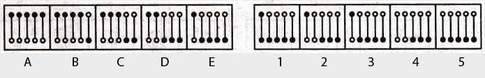 Non-Verbal-Reasoning-Markschamps.com