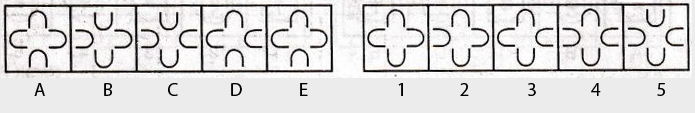 Non-Verbal-Reasoning-Markschamps.com