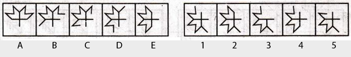 Non-Verbal-Reasoning-Markschamps.com