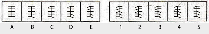 Non-Verbal-Reasoning-Markschamps.com