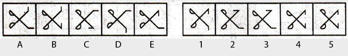 Non-Verbal-Reasoning-Markschamps.com