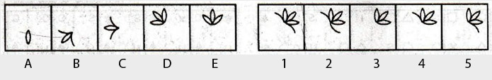 Non-Verbal-Reasoning-Markschamps.com