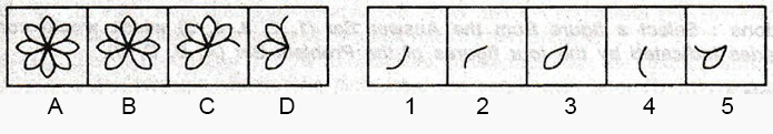 Non-Verbal-Reasoning-Markschamps.com