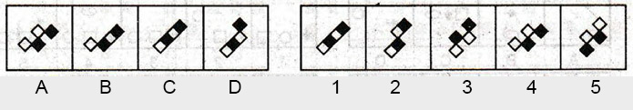 Non-Verbal-Reasoning-Markschamps.com