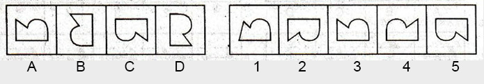 Non-Verbal-Reasoning-Markschamps.com