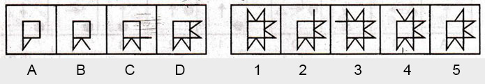 Non-Verbal-Reasoning-Markschamps.com