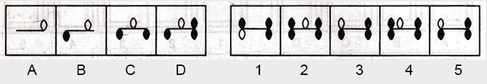 Non-Verbal-Reasoning-Markschamps.com