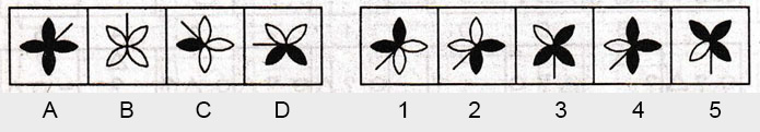 Non-Verbal-Reasoning-Markschamps.com