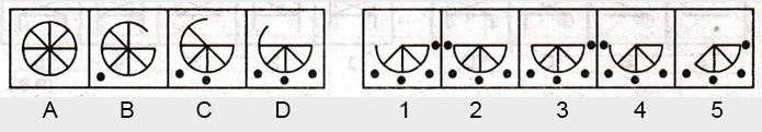 Non-Verbal-Reasoning-Markschamps.com