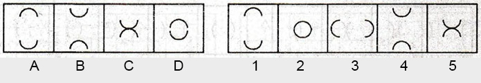 Non-Verbal-Reasoning-Markschamps.com