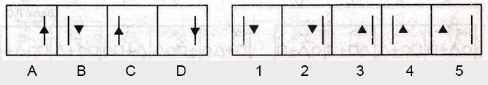 Non-Verbal-Reasoning-Markschamps.com