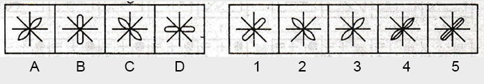 Non-Verbal-Reasoning-

Markschamps.com