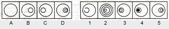 Non-Verbal-Reasoning-Markschamps.com