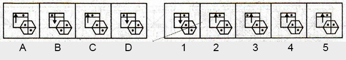 Non-Verbal-Reasoning-Markschamps.com