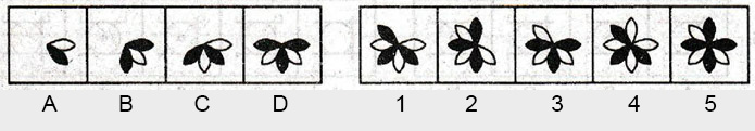 Non-Verbal-

Reasoning-Markschamps.com