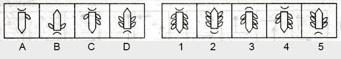 Non-Verbal-Reasoning-Markschamps.com