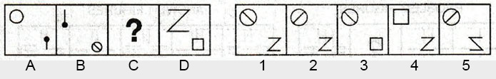 Non-Verbal-Reasoning-Markschamps.com