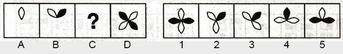 Non-Verbal-

Reasoning-Markschamps.com