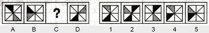 Non-Verbal-Reasoning-Markschamps.com