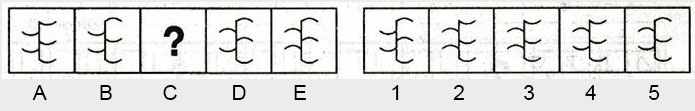 Non-Verbal-Reasoning-Markschamps.com