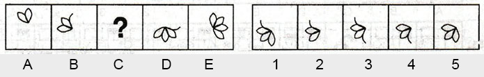 Non-Verbal-Reasoning-Markschamps.com