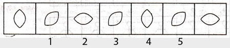 Non-Verbal-Reasoning-Markschamps.com