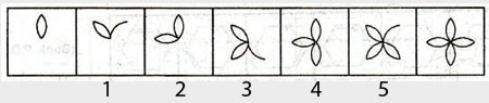 Non-Verbal-Reasoning-Markschamps.com