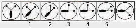 Non-Verbal-Reasoning-Markschamps.com