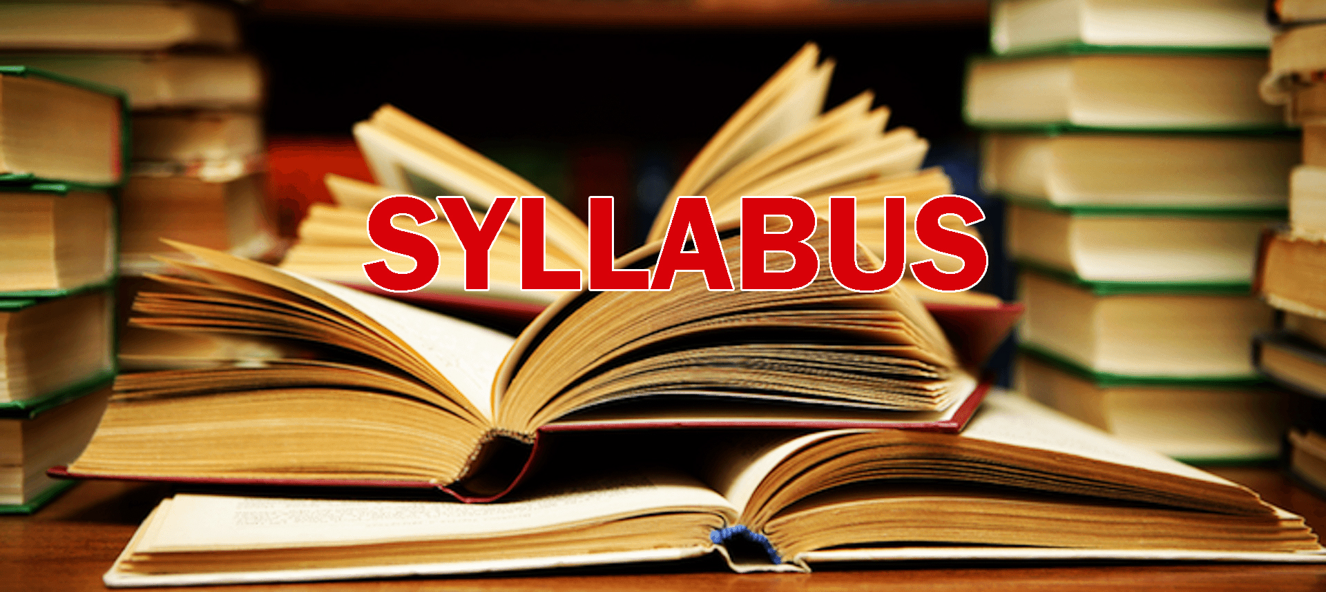 syllabus-markschamps